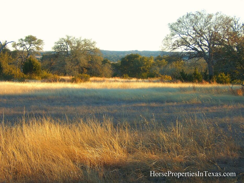Texas-Hill-Country1