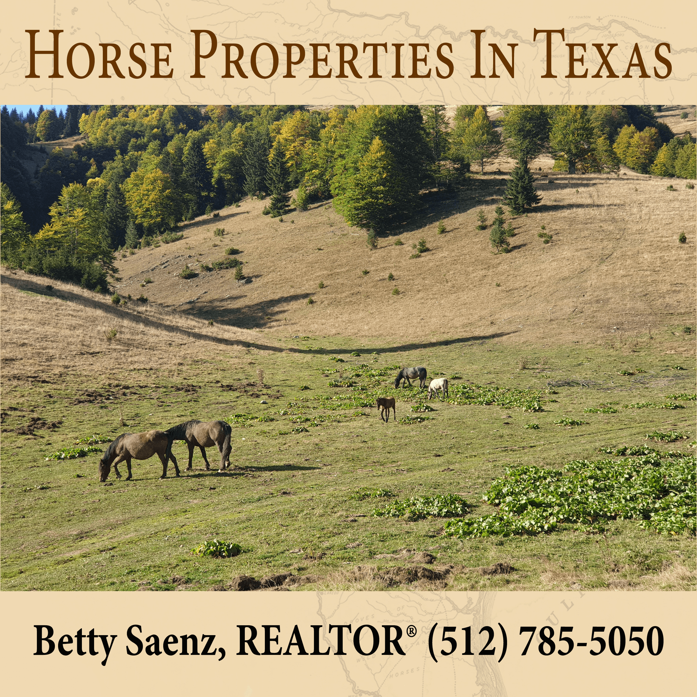 Horse Properties in Texas